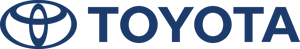 Company Name